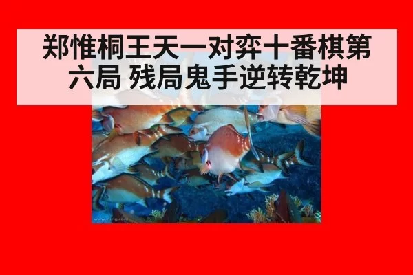 郑惟桐王天一对弈十番棋第六局 残局鬼手逆转乾坤