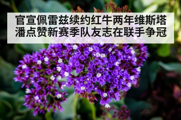 Sergio Perez portrait